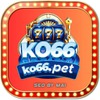 KO66 NET CO