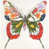 arlinda morina