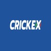 Crickex Login casino