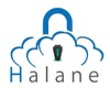 Halane Consultancy and Training Center