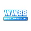 WW88 CONSULTING