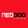 Red Dog Australia