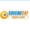 Soi cầu 247TVPRO