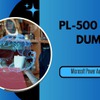 PL-500 Exam Dumps