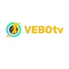 Vebotv - Trực tiếp bóng đá về bờ tv đẳng cấp chuẩn top 1