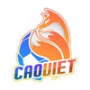 caoviet net