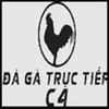 LINK ĐÁ GÀ TRỰC TIẾP C4 THOMO