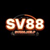 SV 88