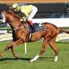 horse racing