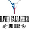 David Gallagher Bail Bonds
