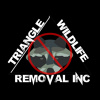 TriangleWildlife