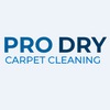 Prodry Carpet
