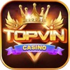 Topvin 