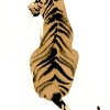 Azzeeddine HILALI