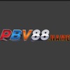 PBV88 name