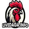 Livedaga Info