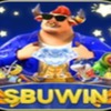 Sbuwin