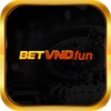 betvndfun 
