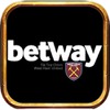 BETWAY LLC