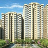 SIGNATURE GLOBAL PRIME 63A