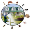 Explore Pest Control’s Profile