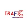Traffic seotop