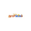 vipwin photo