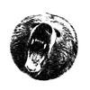 Bear Assault