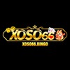 xoso66 bingo