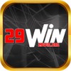29winorg 