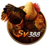 Sv388 Buzz