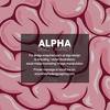 alpha agency