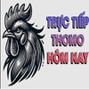THOMOHOMNAY - ĐÁ GÀ THOMO TRỰC TIẾP HÔM NAY