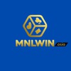 MNLWIN 