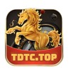 tdtc02a com