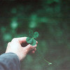 leavesandclovers