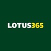 Lotus365 bet