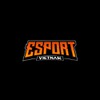 esportsvietnamnet 