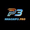 P3