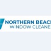Window Cleaners