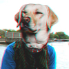 Phil liph