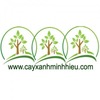 Cây xanh Minh Hiếu