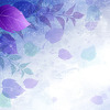 Rhinoplasty India