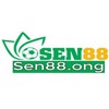 SEN88 