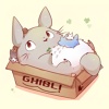 xue hao