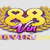 88vin
