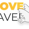 VietDove Travel
