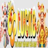 Luck8 