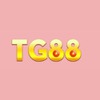 tg88appnet 