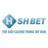 shbet29 com